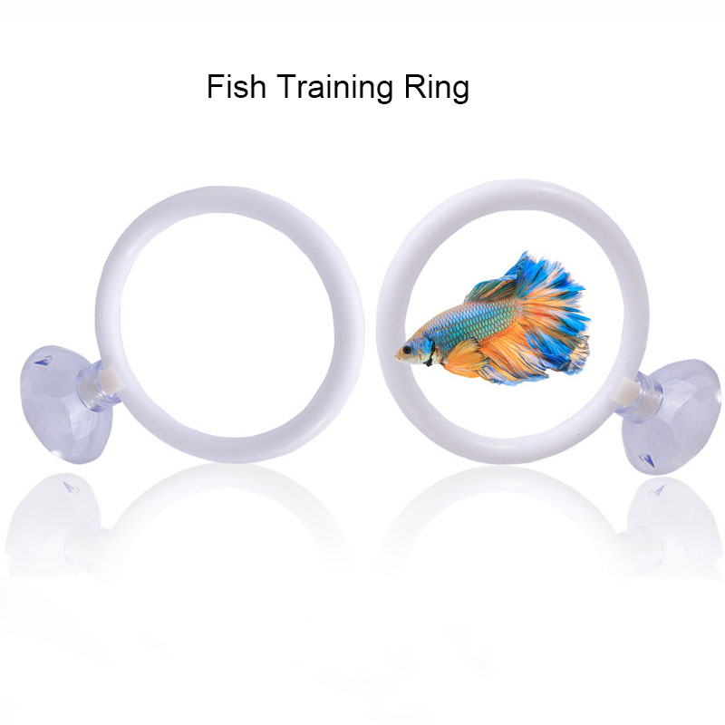 1pcs Plastic Fish Tank Aquariu - Gymnastic Ring review and price